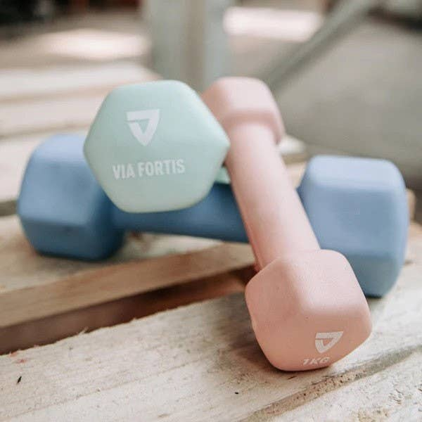 Weights, Wholesale Dumbbells